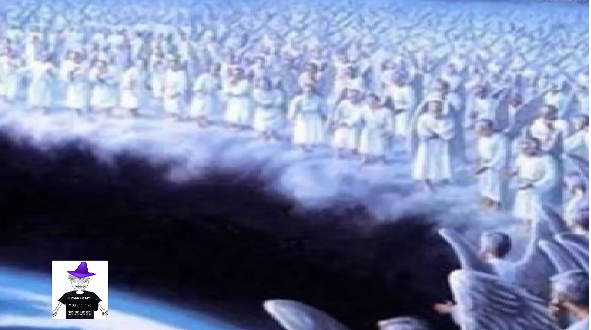 Traffic Cone dude tweet media