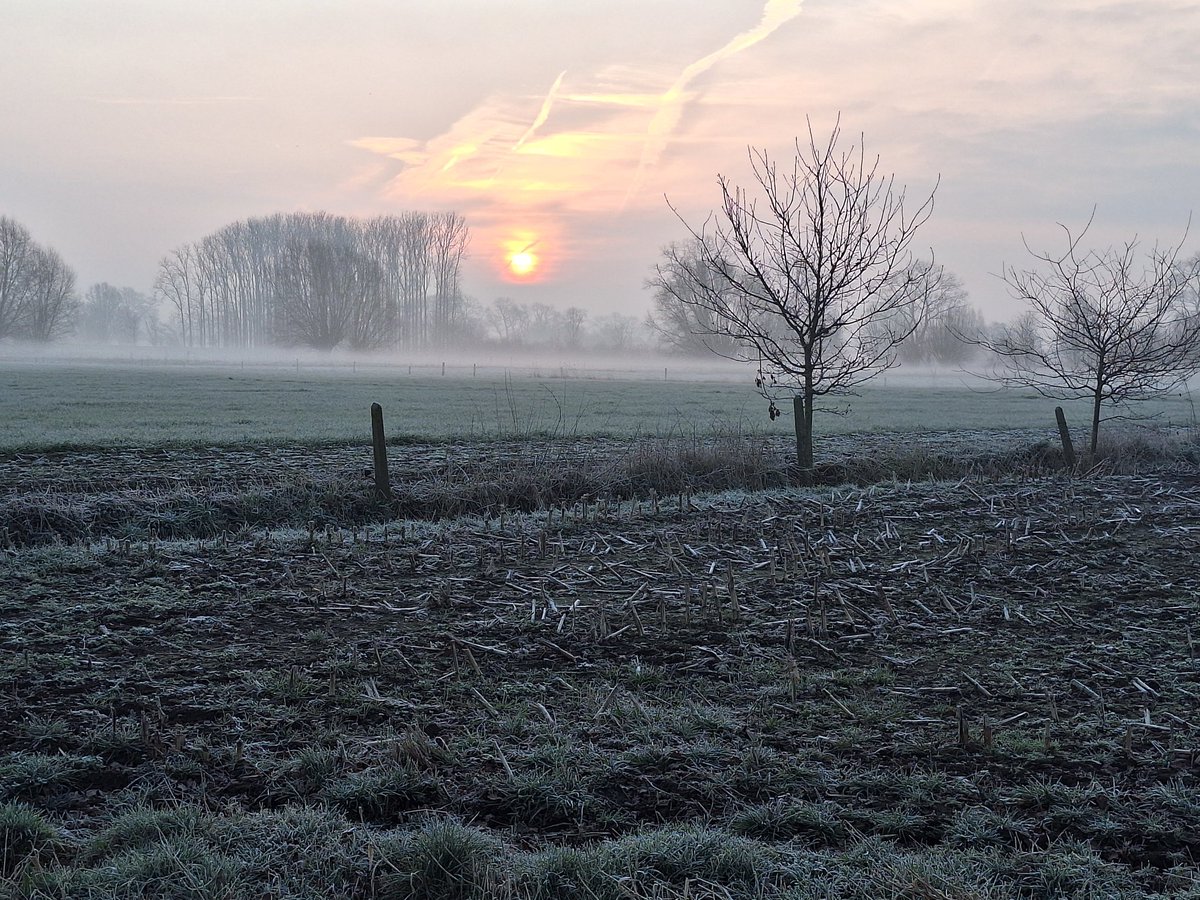 Zwevezele. 7u50. #vrtweer