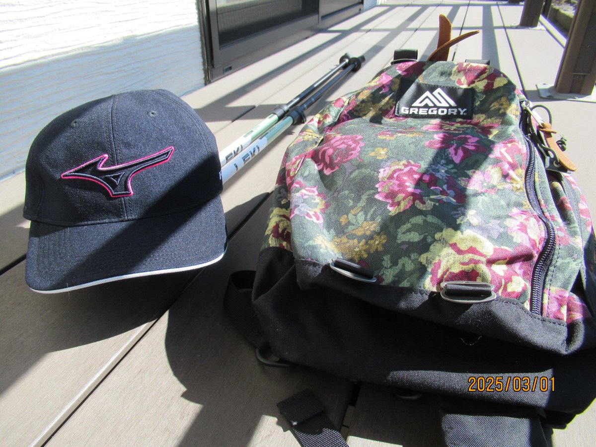 久しくご無沙汰でしたが、ちゃんと生きております。生存しております。

最強寒波に。風邪に体調不良にいろいろございまして大変だった。はーい。今日からグレゴリーのスピンスリングv2 初卸し。いたしました。