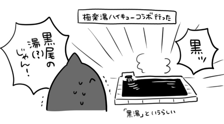 ハイキュー風呂 雑な日記 