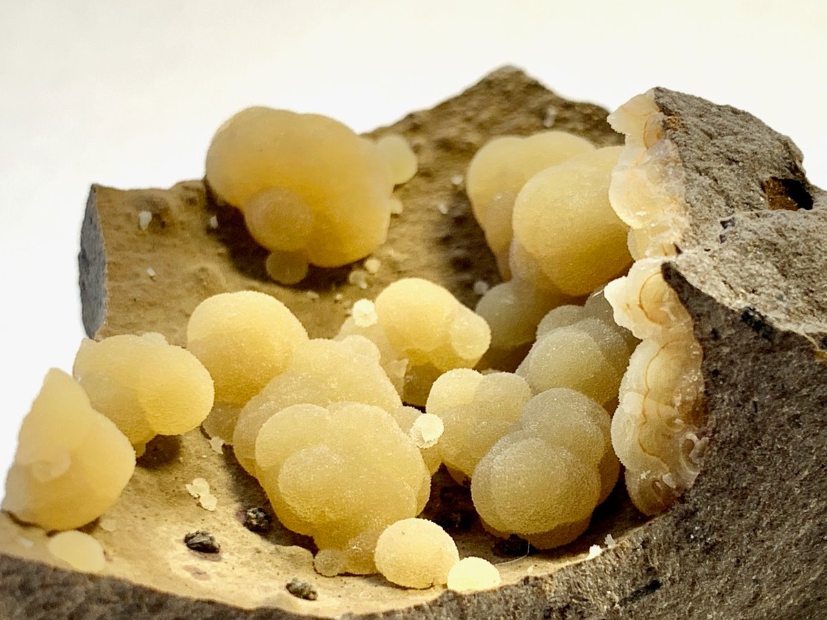 カルサイト - Search / X