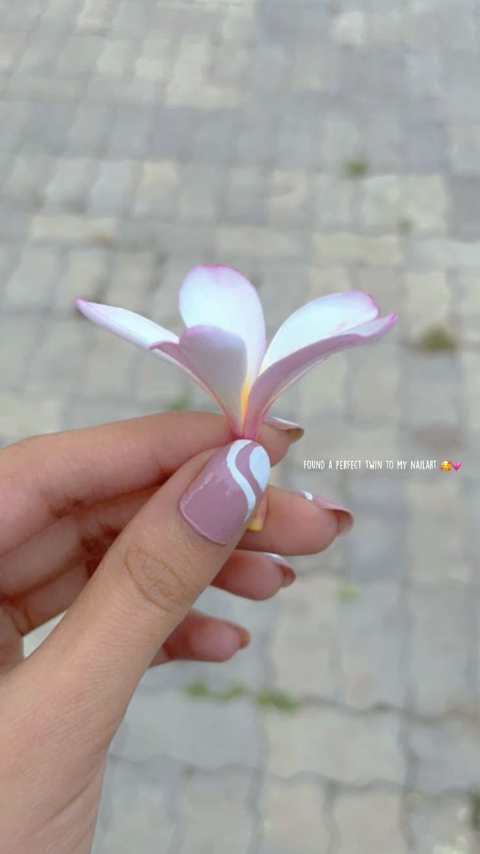 Peace ♡ tweet media