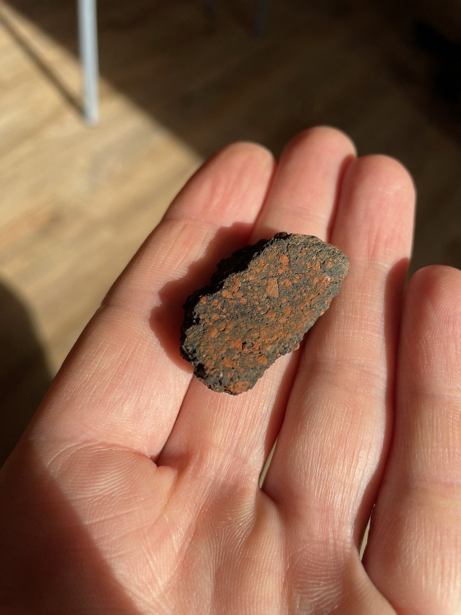 CAER Heritage (@caerheritage) on Twitter photo What a great Half Term! โ๏ธ
Family fun at Paint, Plant, Play day ๐จ Fascinating finds from Love Our Hillfort ๐บGot into the swing of spring with the Gardening Group ๐ฑ Topped off by a sunny St Davidโs Day! ๐ด๓ ง๓ ข๓ ท๓ ฌ๓ ณ๓ ฟ Ready for an exciting week of events for Careers Week 2025! โ๏ธ What a great Half Term! โ๏ธ
Family fun at Paint, Plant, Play day ๐จ Fascinating finds from Love Our Hillfort ๐บGot into the swing of spring with the Gardening Group ๐ฑ Topped off by a sunny St Davidโs Day! ๐ด๓ ง๓ ข๓ ท๓ ฌ๓ ณ๓ ฟ Ready for an exciting week of events for Careers Week 2025! โ๏ธ