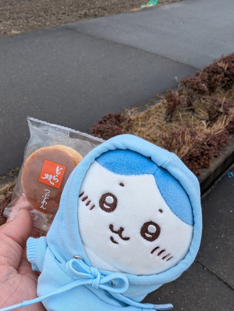 ネコラボ tweet media