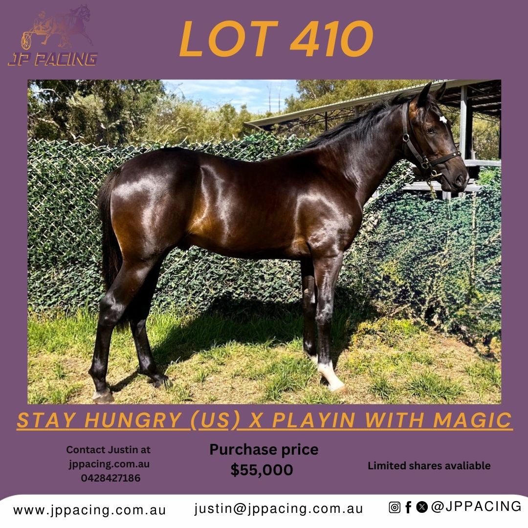 LOT 410 
Stay Hungry US x Playin With Magic, Colt. 
Limited shares available! 
Please get in contact with Justin to secure a share in him. 
Westbred eligible! 
#jppacing #gloucesterpark #apg