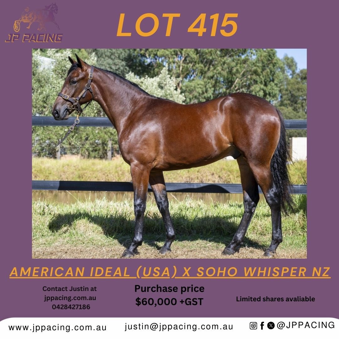 LOT 115
American Ideal USA x Soho Whisper NZ, Colt.
Limited shares available. 
Please get in contact with Justin to secure a share in him.
Westbred eligible! 
#jppacing #gloucesterpark #apg