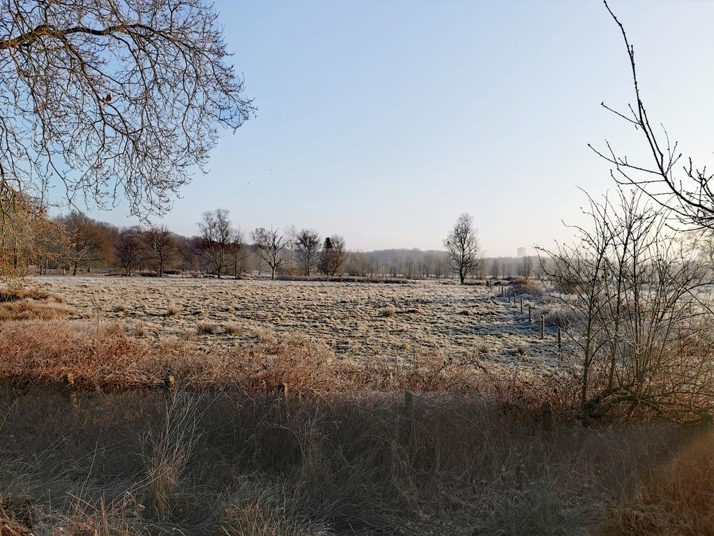 Het is koud maar fantastisch wandelweer. <a href="/stadsbos013/">Stadsbos013</a>