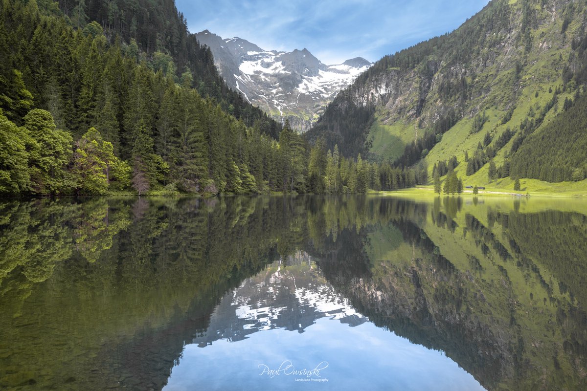 The Mirrored Kingdom of Nature🌳🌿