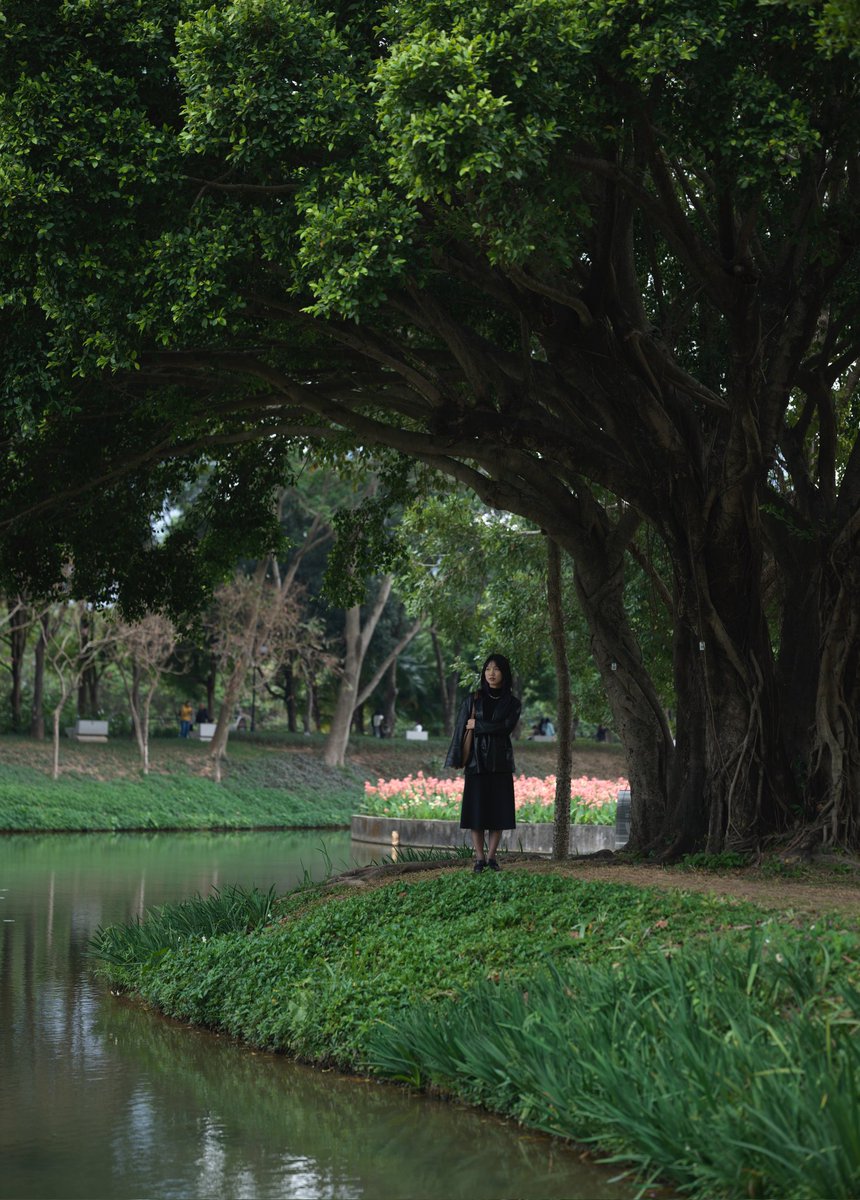 还有春游，真不错啊深圳