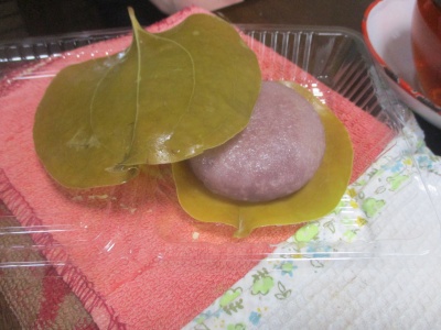 山帰来餅、、、東京では端午の節句あたりに餅菓子屋に並ぶ＝かしわ餅、当たり前のようにブナ科カシワの葉っぱに包まれていますが、関西では、こんなようにサルトリイバラ（山帰来）の葉っぱに包まれた、かしわ餅がふつうらしいのです。