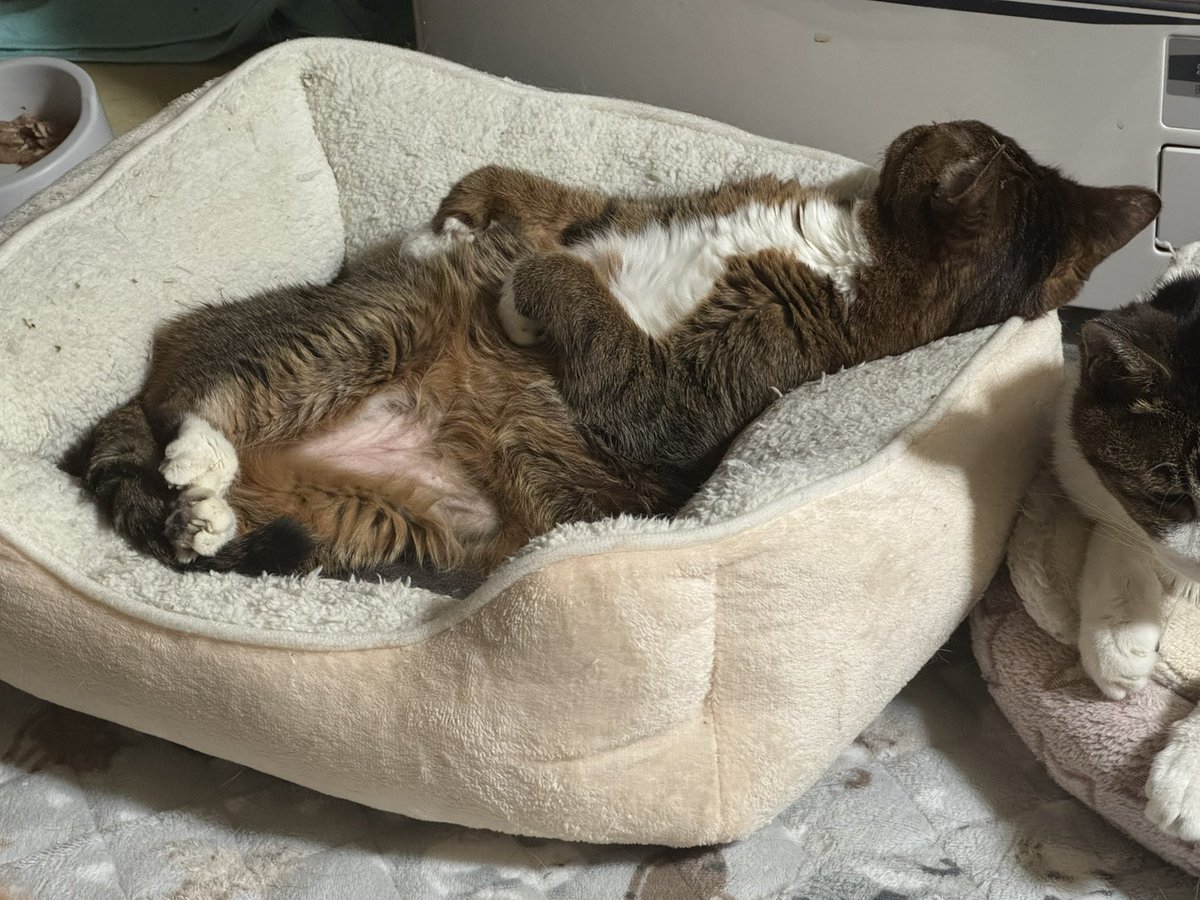 人が寝てるのか？？