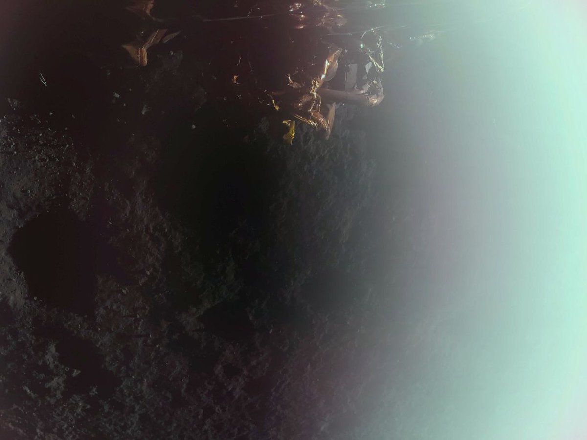 🔴 #AHORA | Primera imagen tomada por el módulo de aterrizaje lunar Blue Ghost de Firefly Aerospace en la Luna.