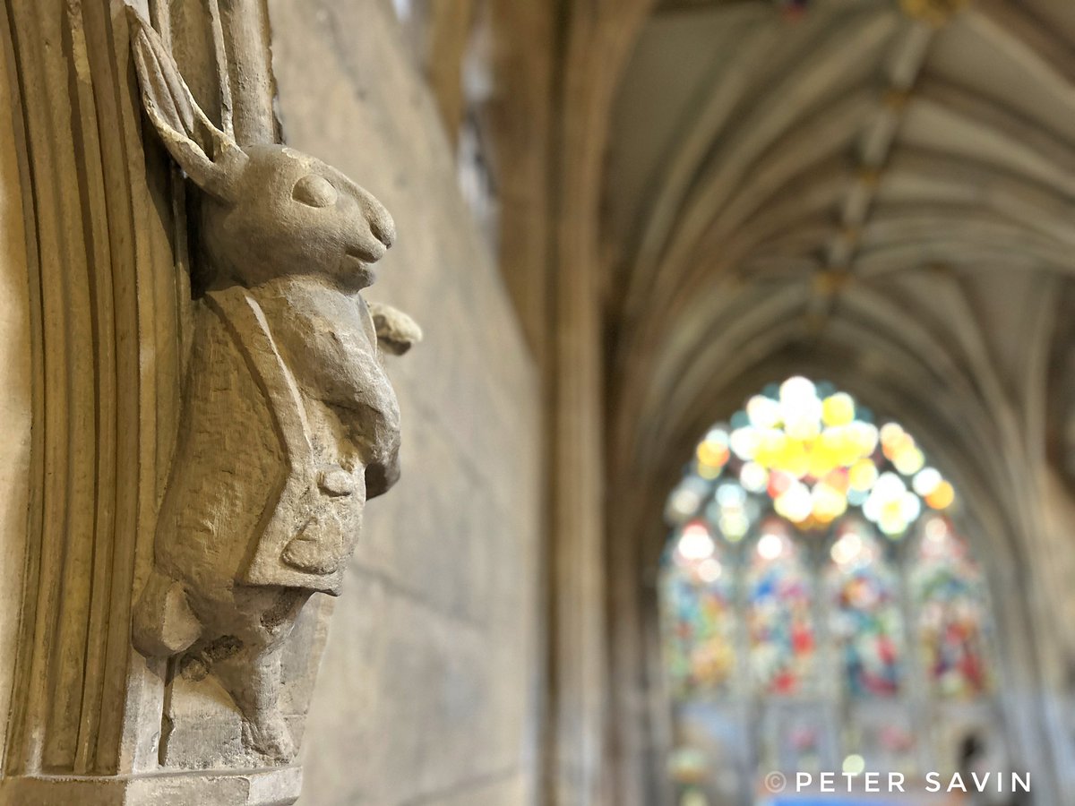 The 700 old white rabbit in St Mary’s Church still wearing it’s pilgrims bag with its Scallop shell symbol #Beverley #Yorkshire