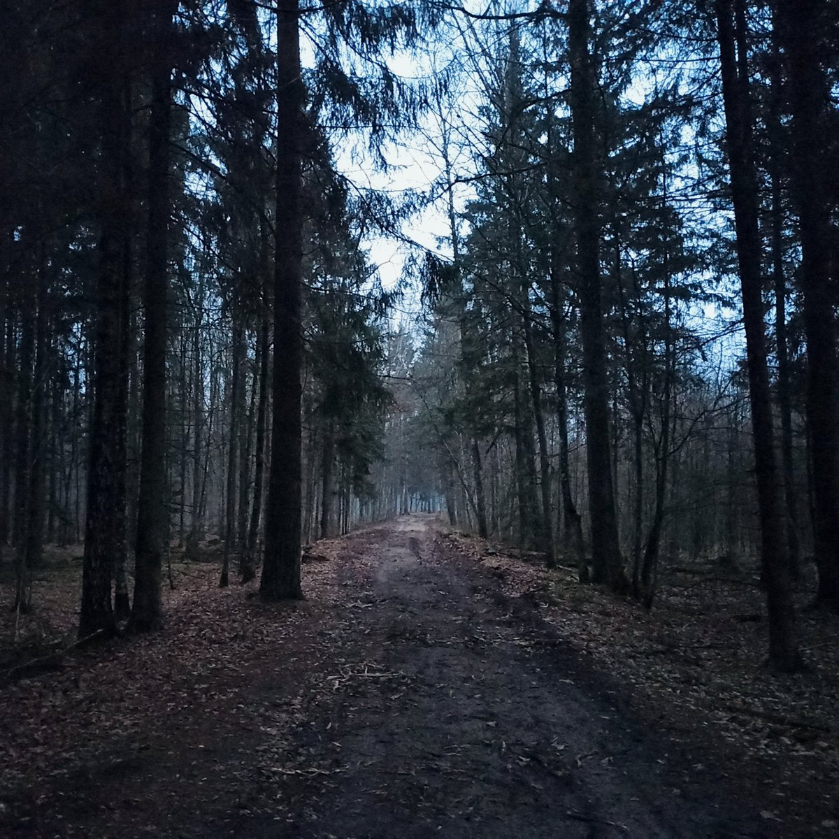 Badacze i badaczki na granicy (@bgranicy) on Twitter photo Yesterday, within our 3rd International Seminar, we participated in a guided tour to Białowieża forest to see how militarisation of this <a href="/UNESCO/">UNESCO 🏛️ #Education #Sciences #Culture 🇺🇳</a> heritage site destroys nature and wildlife there. Photo by <a href="/MateuszKrepa/">Mateusz Krępa</a> (the sign of no-go zone) Yesterday, within our 3rd International Seminar, we participated in a guided tour to Białowieża forest to see how militarisation of this <a href="/UNESCO/">UNESCO 🏛️ #Education #Sciences #Culture 🇺🇳</a> heritage site destroys nature and wildlife there. Photo by <a href="/MateuszKrepa/">Mateusz Krępa</a> (the sign of no-go zone)