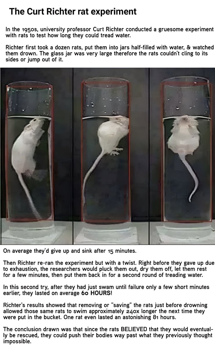 If you understand this you’ll understand Ray Peat