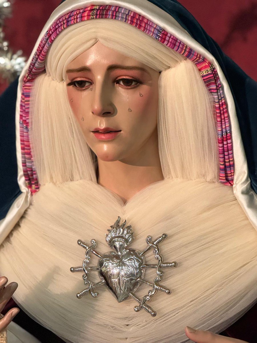 ➡️ Estrenos adquiridos por la Agrupación

• Saya burdeos
• ⁠Corazón atravesados por 7 puñales, en alusión a los Dolores de la Virgen
• ⁠Fajín hebraico

◻️ Luce el pañuelo regalado por la Hdad. del Resucitado, por la bendición de nuestra Madre. 

🌿 #ElOlivoSigueCaminando