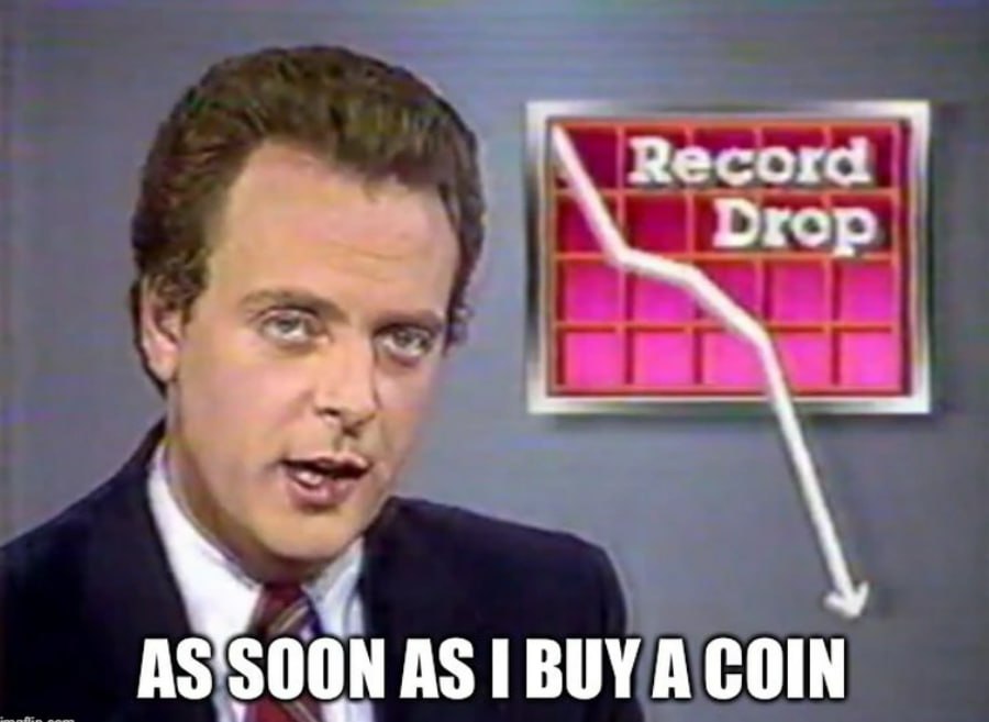 Jeremybtc's tweet image. real 😹