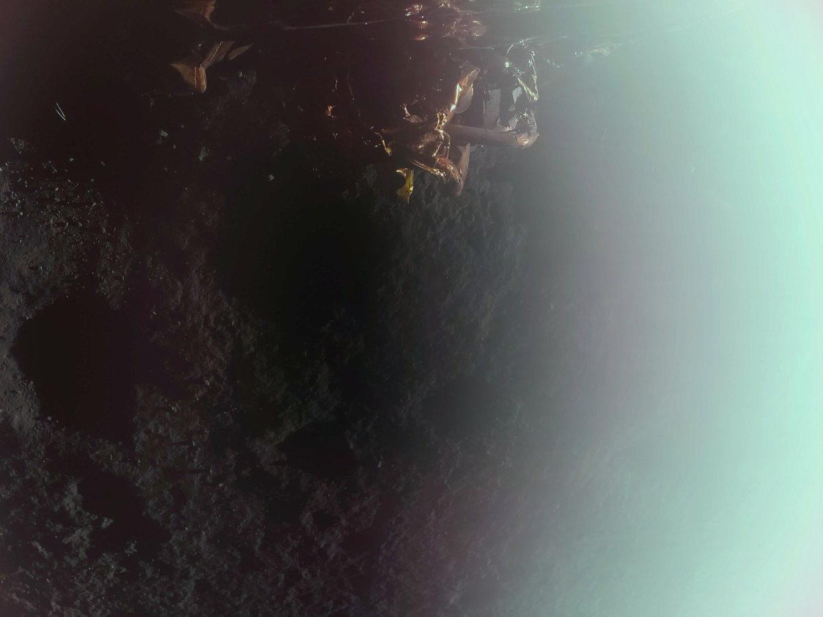 lauracestari83's tweet photo. 🦁🛰️🌖 C'è un po' di #Veneto sulla Luna! Questa è la prima foto scattata sulla Luna dal lander #BlueGhost, allunato oggi 2 marzo 2025 con a bordo il ricevitore satellitare #LuGre. Strumento realizzato in Veneto dall'azienda #Qascom di Bassano del Grappa. Grande orgoglio 👏 https://t.co/yUEbCByM8M