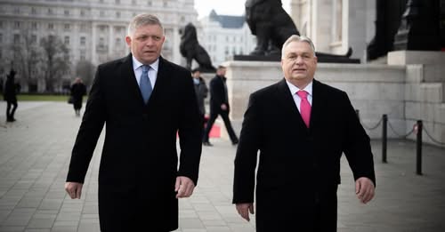 SILBER-FRAU tweet media