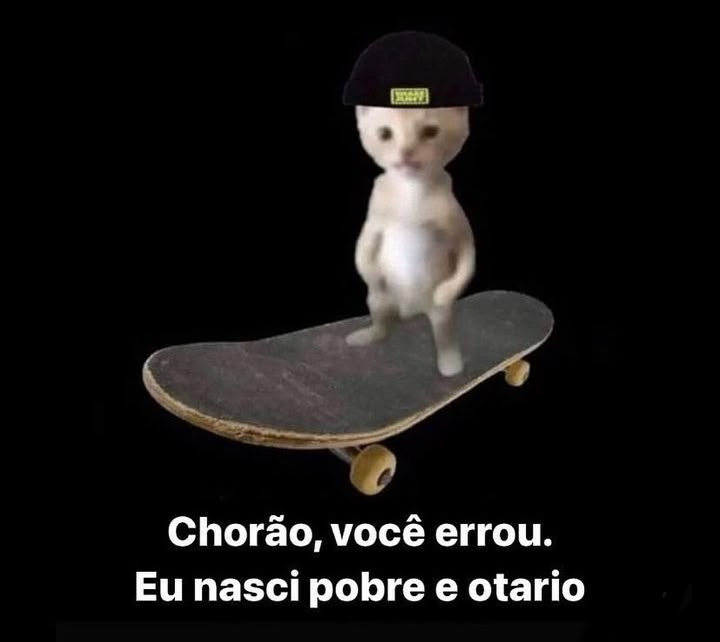 Terror do Cotidiano (@terrorcotidiano) on Twitter photo 