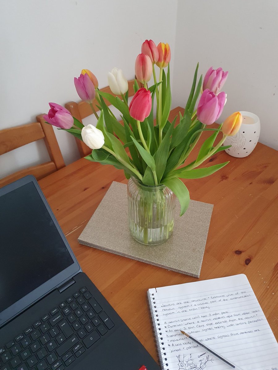 🌷 🌷 🌷 
Spring is just around the corner