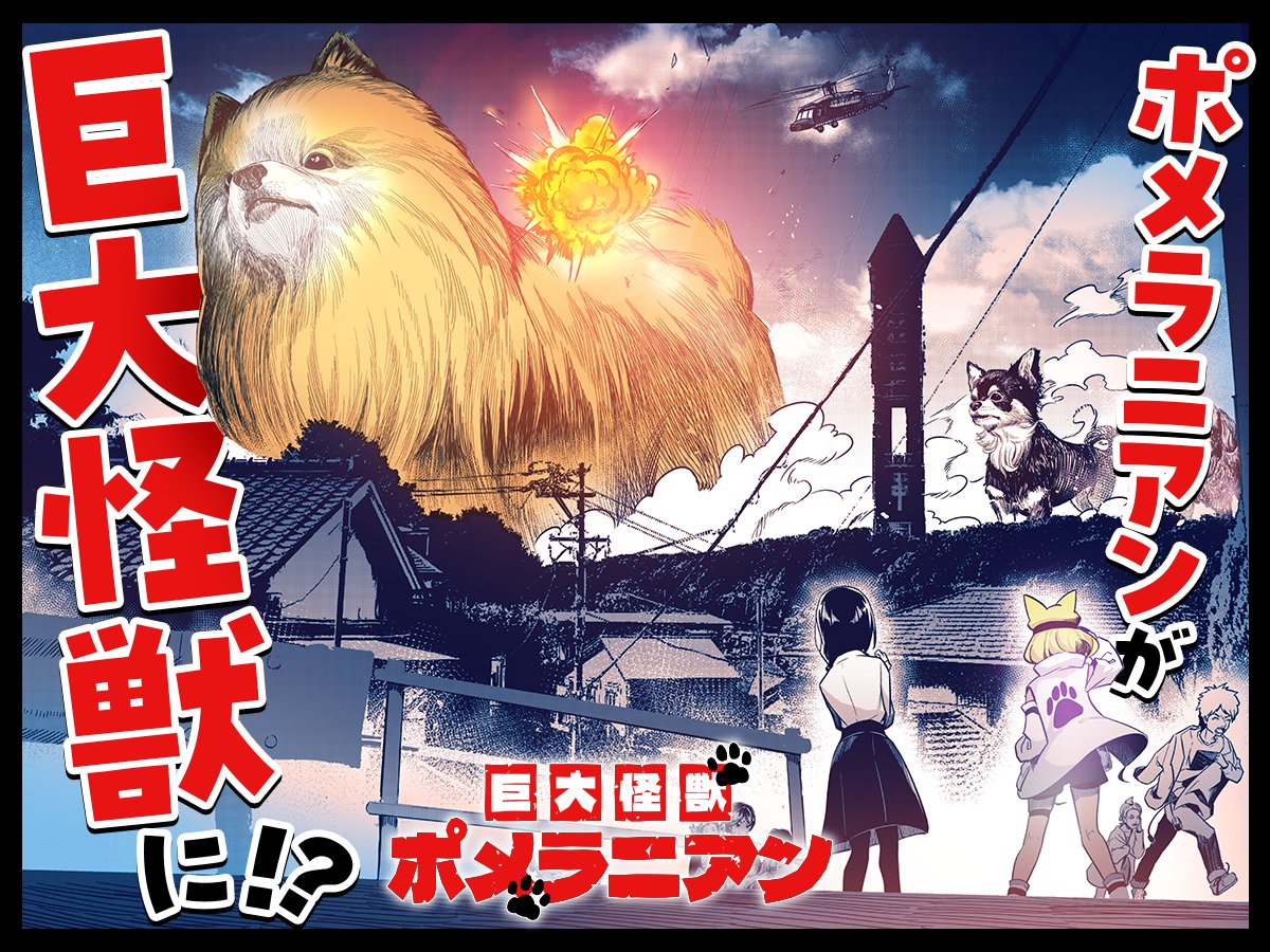 まめ吉　プロフ必読！ 💥読み切り💥】 まめ猫先生「」 ＼「純情エッチング」追っかけ連