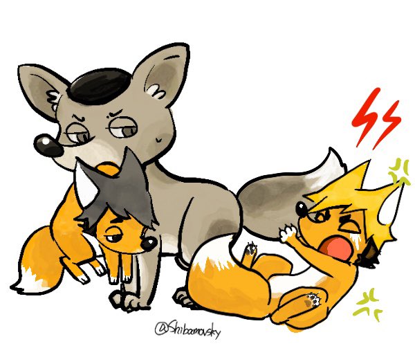 Shibamovsky's tweet image. こう…🦊🦊🦊