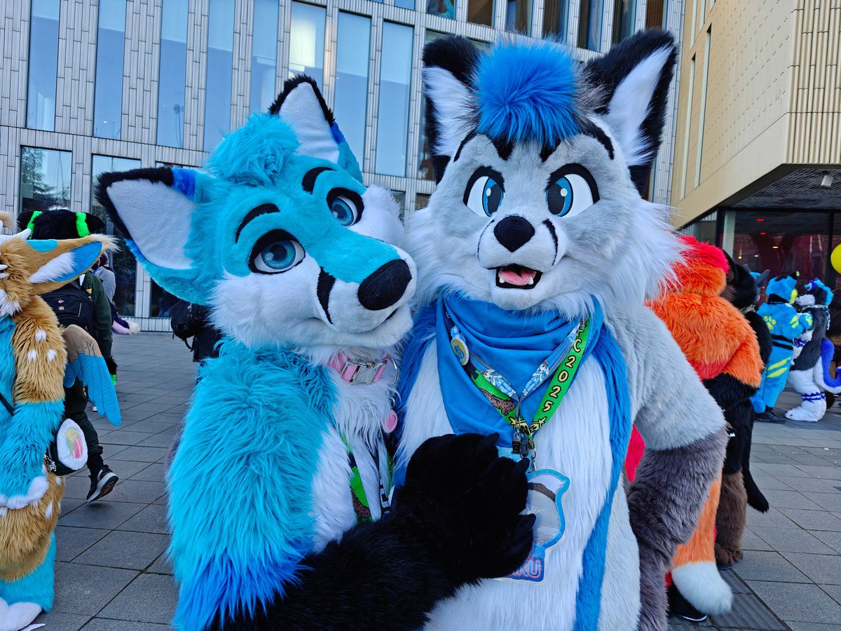 One week later and I’m still buzzing after NFC! Meeting this shifty looking fox was definitely a highlight for me :3

🦊 <a href="/pohakufox/">Pohaku 💙🦊💙</a> 
📷 <a href="/HoneyFolf/">HoneyFolf</a>