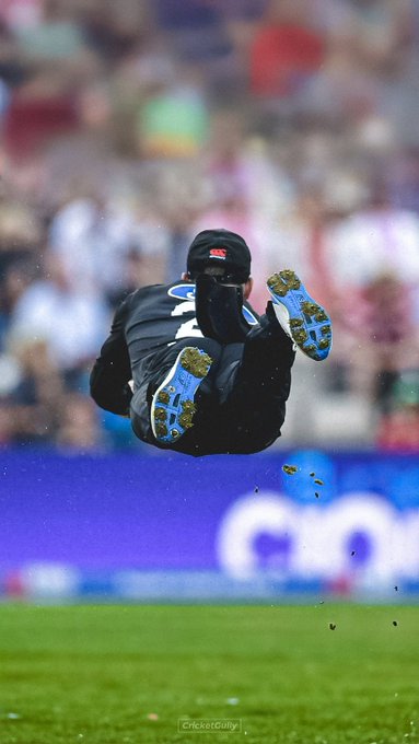 Who Said Kiwis Can’t Fly? 🙌 📹 Credits: Twitter/HardCricketpix