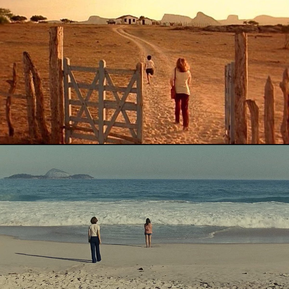 Dirigidos por Walter Salles. 🎬