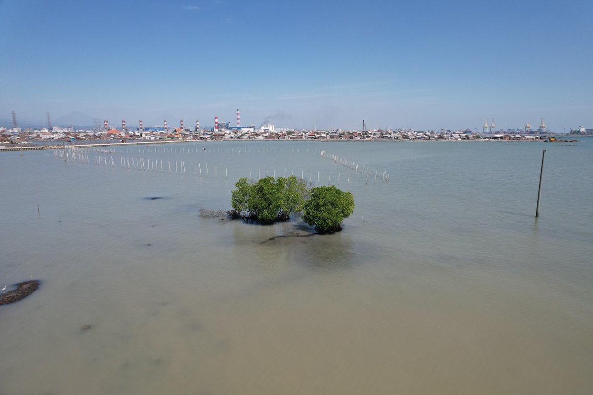 (UTAS/THREAD)

"Perencaanaan Partisipatif untuk Tanggul Laut Raksasa Pantura Jawa dan Reforma Agraria Perkotaan"

Siaran Pers Aliansi Rakyat Miskin Semarang-Demak (ARMSD)
