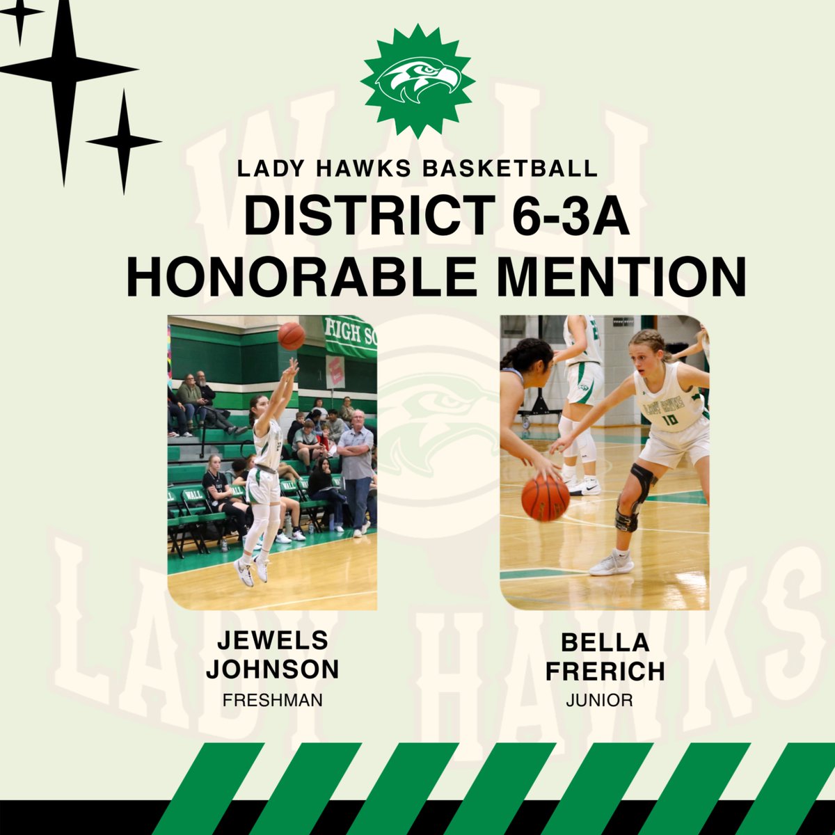 District 6-3A Honorable Mention:
Bella Frerich (JR)
Jewels Johnson (FR)