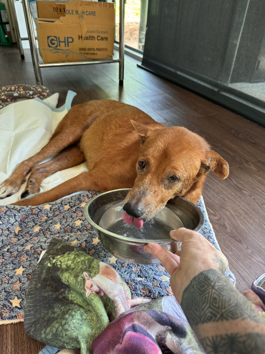 Niall Harbison tweet media