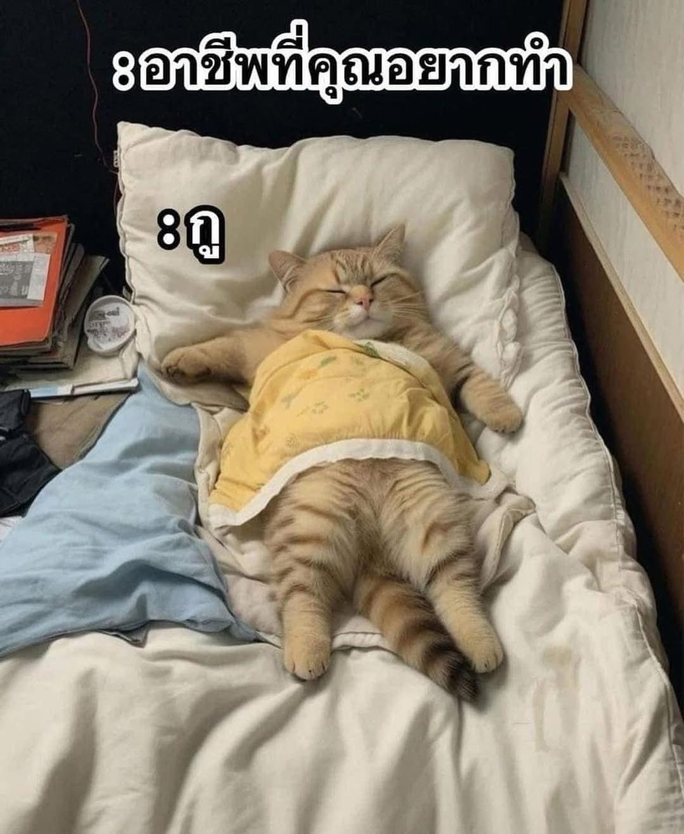 SABENZZ's tweet photo. ชีวิตกู 1,000,000% https://t.co/YkG6v23RPn