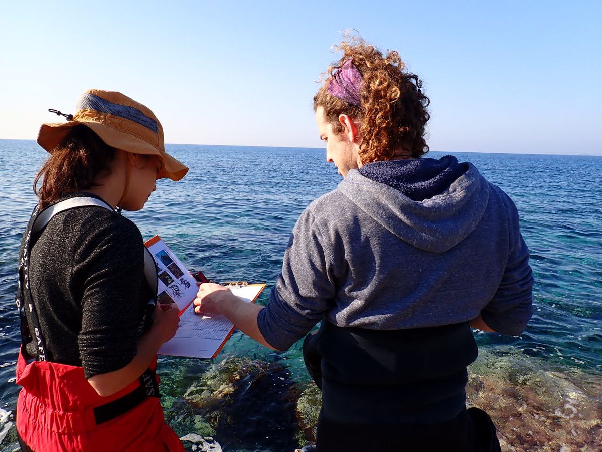 Rilov Lab tweet media