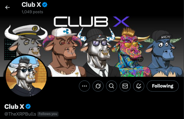 This project needs a community take over. <a href="/TheXRPBulls/">Club X</a> - Classic nft collection with shit
leadership.