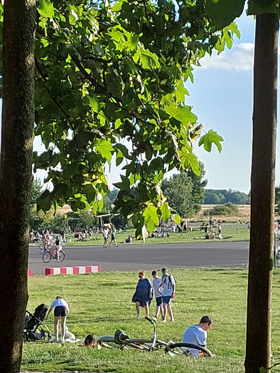 Feldomma @feldomma@mastodon.social tweet media