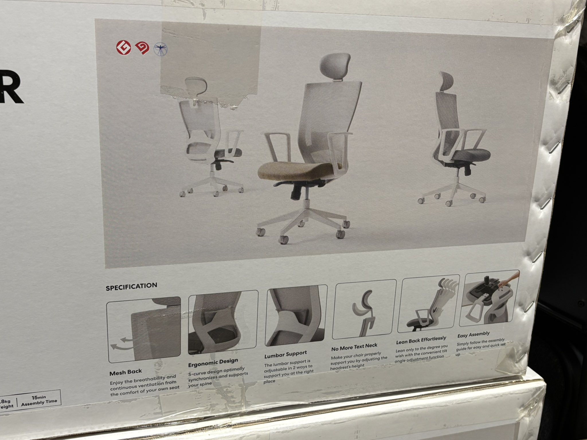 ジャスミンさん専用ページ ジャスミンさん専用ページ ジャスミンさん専用 Amazon | KN企画