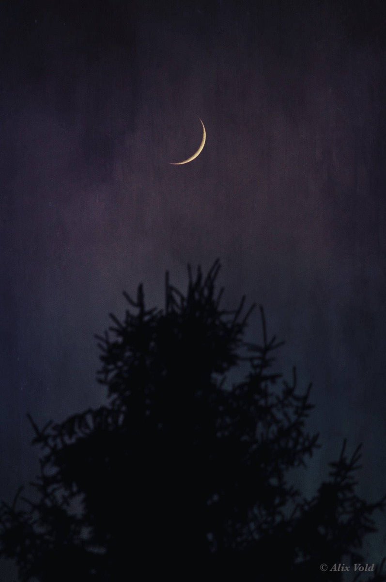 Anna-Helena McLean (Moon Fool) tweet media