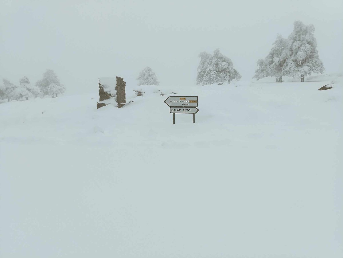 Vigorro's tweet photo. Filabres, la nevada por la zona de Calar Alto esta mañana...😃😍

#nieve #Almeria  #SierraDeFilabres https://t.co/5ush3Lz0v9