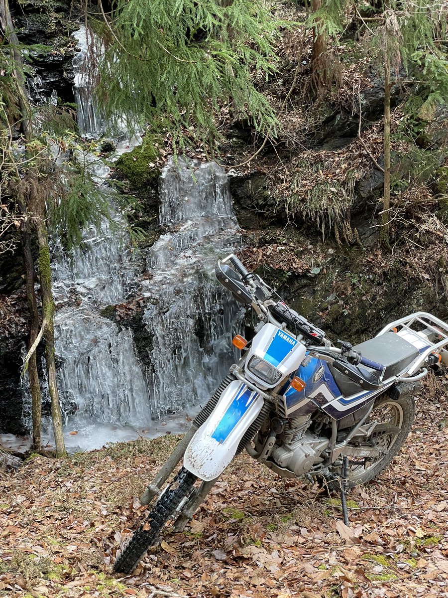 今週も林道へ。氷瀑見れた。