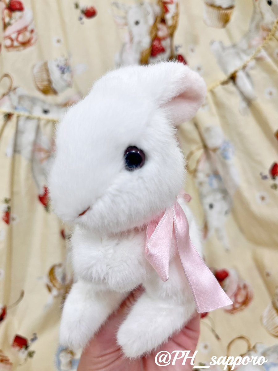 ピンクハウスさっぽろ (@PH_sapporo) / Posts / X