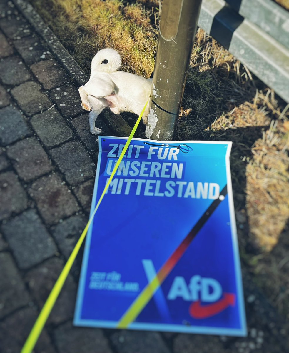 Lars Leopold tweet media