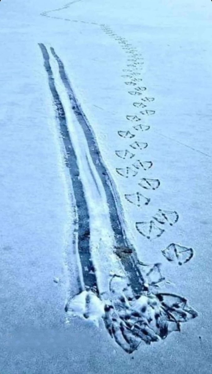 Rejected take off! #Pilot #Pilotspeaker <a href="/BALPApilots/">BALPA</a> <a href="/Gasco/">Gasco</a> <a href="/aviationbrk/">Breaking Aviation News & Videos</a>