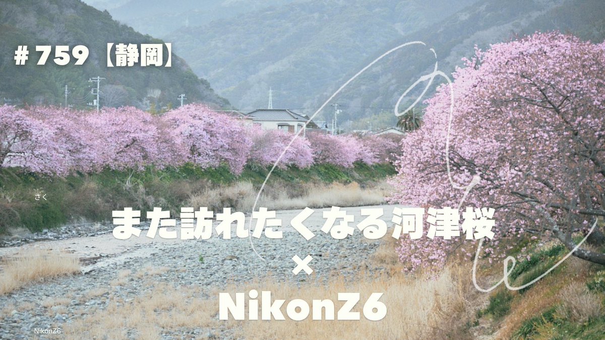 岡本 晃｜Ko Okamoto tweet media