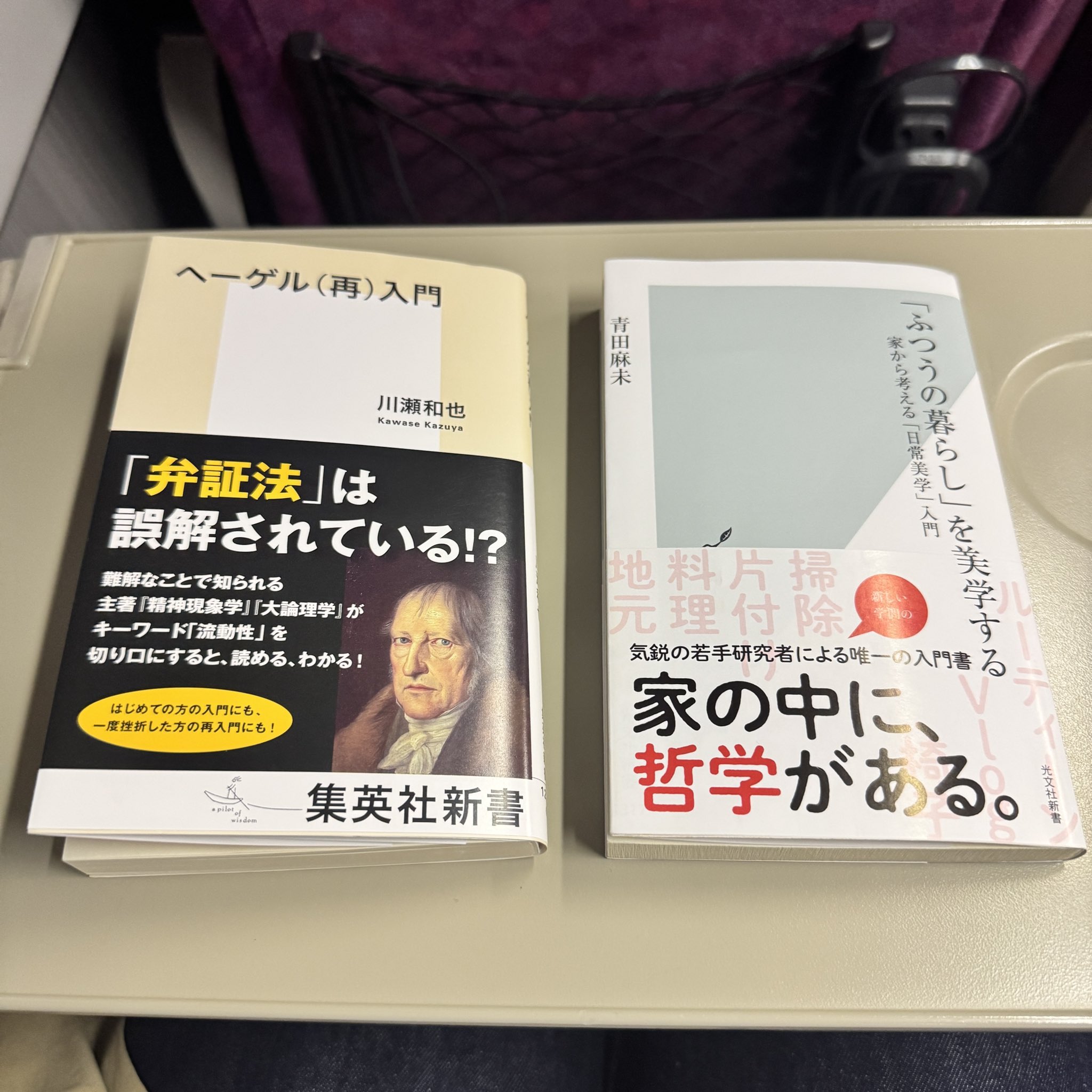 川瀬 和也『ヘーゲル（再）入門』（集英社新書） (@kkawasee_wdl