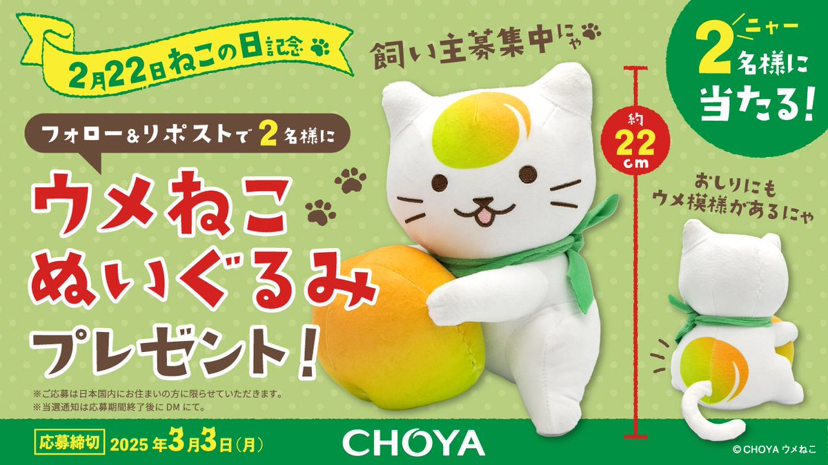 CHOYA (チョーヤ梅酒)🟢✨ (@choyaofficial) on Twitter photo 締め切り迫る!!
プレゼントキャンペーン実施中🎁
"ウメねこ"をやさしくお迎えいただける方を2(ニャ‐)名さま募集中です😊✨
<応募方法>
1⃣<a href="/CHOYAofficial/">CHOYA (チョーヤ梅酒)🟢✨</a> をフォロー&
2⃣期間中に対象の投稿いずれかをリポスト🔁で受付完了🐾✨
たくさんのご応募お待ちしております😊✨ 締め切り迫る!!
プレゼントキャンペーン実施中🎁
"ウメねこ"をやさしくお迎えいただける方を2(ニャ‐)名さま募集中です😊✨
<応募方法>
1⃣<a href="/CHOYAofficial/">CHOYA (チョーヤ梅酒)🟢✨</a> をフォロー&
2⃣期間中に対象の投稿いずれかをリポスト🔁で受付完了🐾✨
たくさんのご応募お待ちしております😊✨