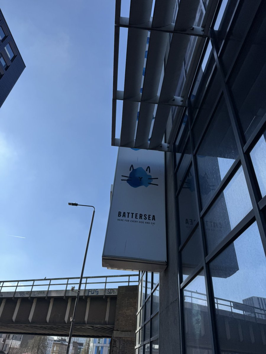 Working in one of my favourite areas today, I wonder if I should return home with an extra little someone 🐶🤓 #IYKYK #Lipspeaking