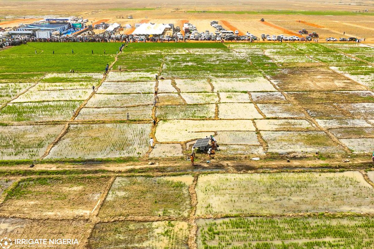 KSHalilu's tweet image. President @OfficialABAT’s #RenewedHope manifesto promised to transform agriculture with modern irrigation technology for year-round food production.

Today, that promise becomes reality with the launch of Irrigate Nigeria in Gamawa, Bauchi—powered by RHIDF and implemented by…
