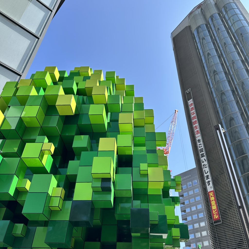 天神で例の木を見てきました。